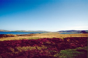 Melanie Heinrich - Travel Images - Scotland